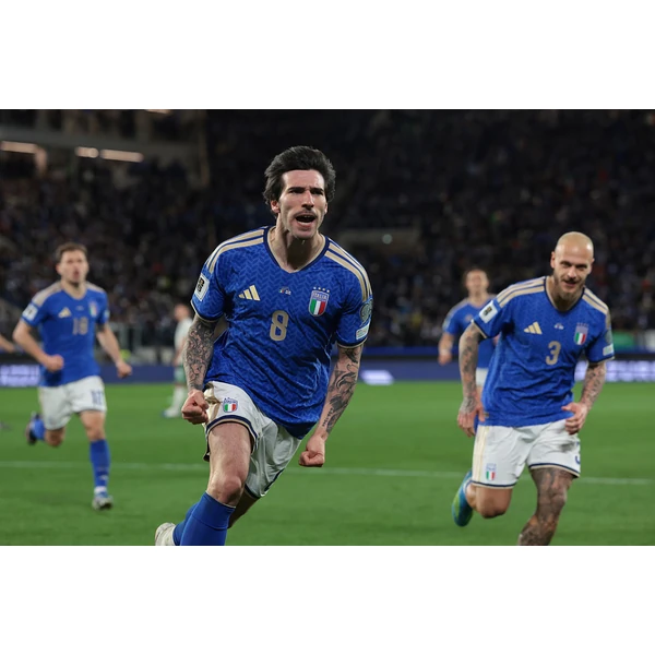 BOB体育 APP