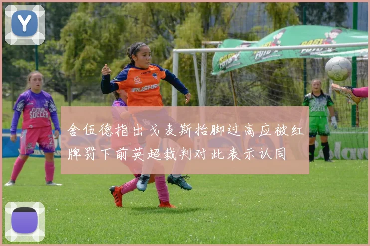 舍伍德指出戈麦斯抬脚过高应被红牌罚下前英超裁判对此表示认同