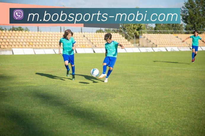 BOB体育APP 封面图